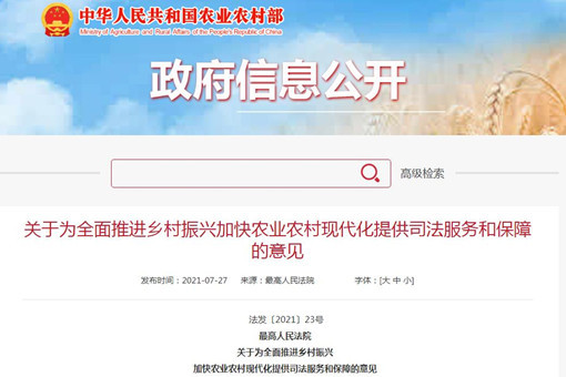 最高人民法院关于为全面推进乡村振兴加快农业农村现代化提供司法服务和保障的意见