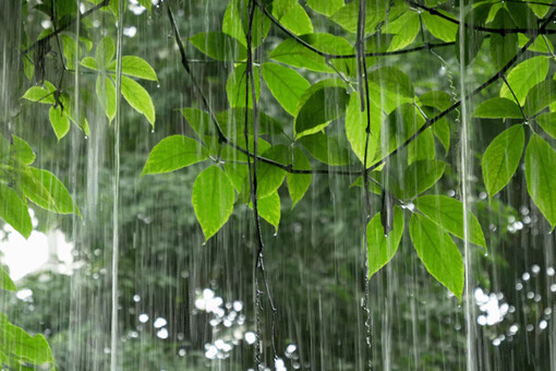 下雨分几个颜色预警-摄图网