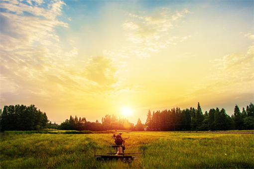 农机补贴什么时候到账-摄图网