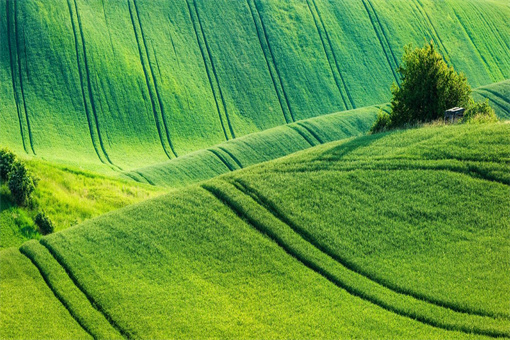 农产品怎么注册商标-摄图网