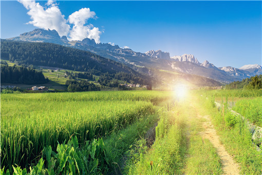 农业注册商标是什么类型-摄图网