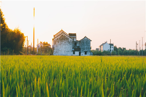 2021年湖南省耕地占用税适用税额是多少-摄图网