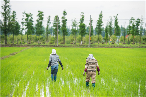 2021年山西省耕地占用税适用税额-摄图网