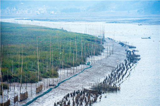 2021年浙江省无居民海岛使用金免缴程序-摄图网