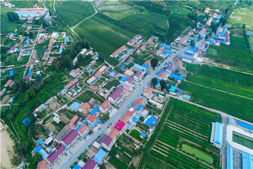 2021年天津市市级农民合作社创建标准-摄图网