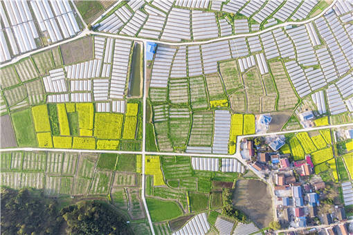 2021年天津市市级农民合作社示范社创建标准-摄图网