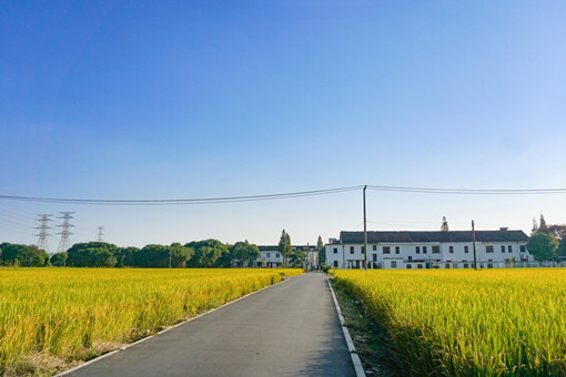 2021年重庆市农村房屋征收补偿标准-摄图网