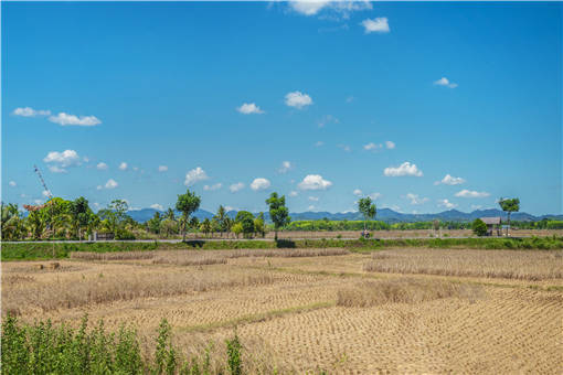 2021苍南县设施农用地的用地规模-摄图网