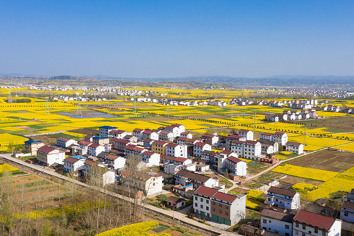 陕西省农村产权交易材料-摄图网