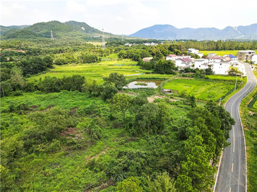 林地焕发新活力-土流集团