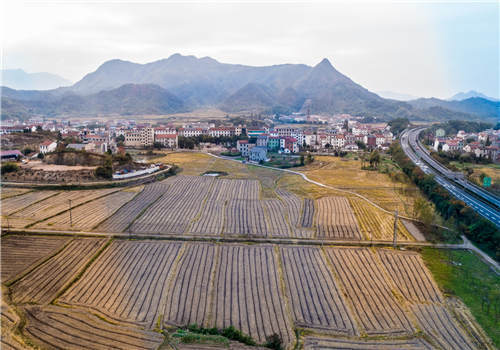 德清县设施农用地能占用基本农田吗-摄图网