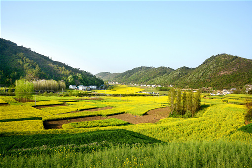 常山县耕地保护补偿机制实施细则-摄图网