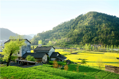 东至县农村宅基地用地申请程序-摄图网