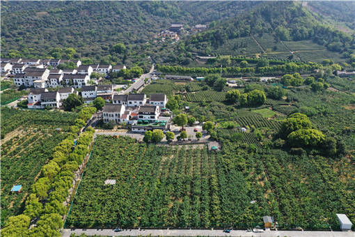 平湖市设施农业用房建设标准-摄图网