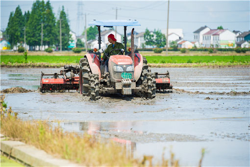 安吉县设施农用地怎么申请使用-摄图网