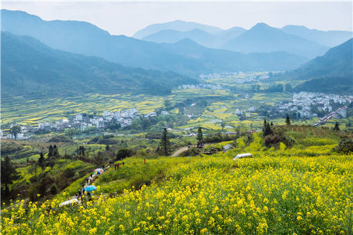 常山县设施农业用地规模-摄图网