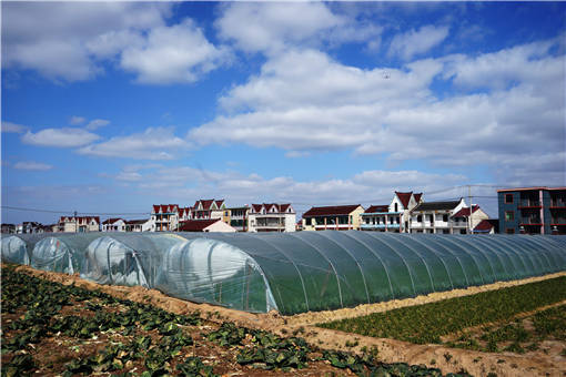 安吉县设施农业用房建设标准2021-摄图网
