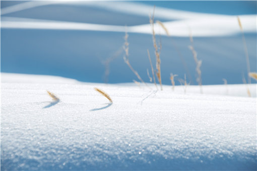 大雪前后有何农事活动-摄图网