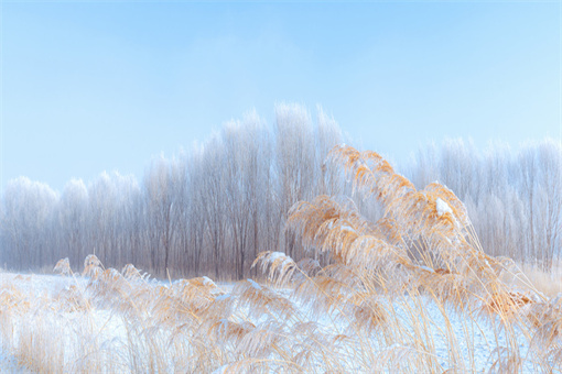 大雪节气应该注意什么问题-摄图网