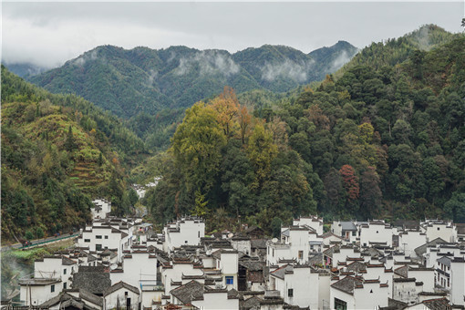 海安市受理农村产权交易的场所在哪里-摄图网