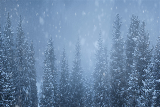 大雪节气-摄图网