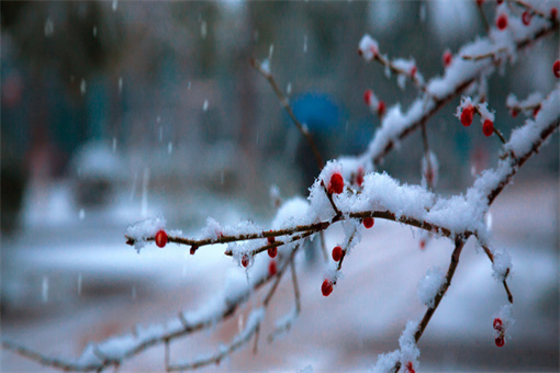 大雪节气-摄图网