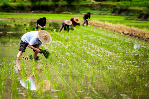潮州市被征地农民养老保障政策-摄图网