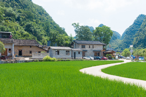 2022年连山县种植水稻奖励-摄图网