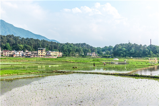 永州市中心城区征地补偿片区划分-摄图网