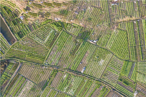 西安市高陵区设施农业用地土地复垦协议模板-摄图网