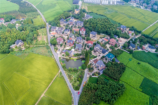 增城区农村土地经营权流转补助奖励-摄图网