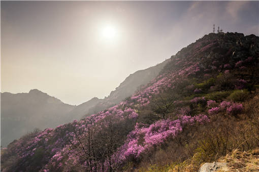 涿鹿县节地生态安葬补贴领取程序-摄图网