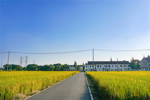 平湖市农用地基准地价一览表-摄图网