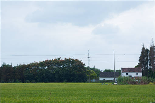 东至县农村宅基地资格权认定条件-摄图网