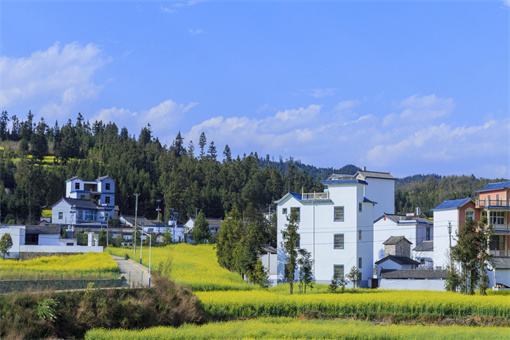 荆州区农村宅基地审批和建房村委会职责-摄图网