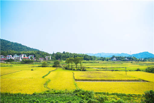余姚市农村集体资产资源转让合同最新范本-摄图网