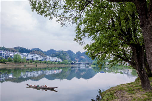 2022年余姚市农村产权交易流程-摄图网