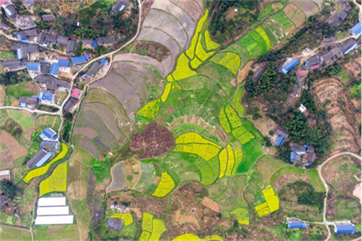 罗山县农村集体经济组织认定标准-摄图网