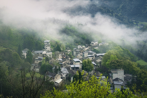 黄山市农村产权交易品种和范围-摄图网