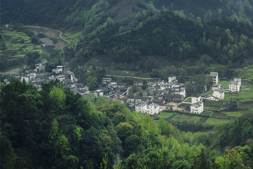 黄山市农村产权交易中心主要职责-摄图网