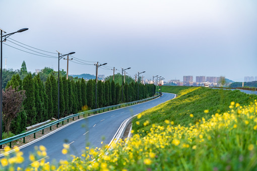 嵊州市农村产权交易转让方需要注意什么-摄图网