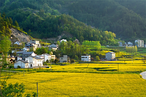 太康县宅基地收回补偿标准-摄图网