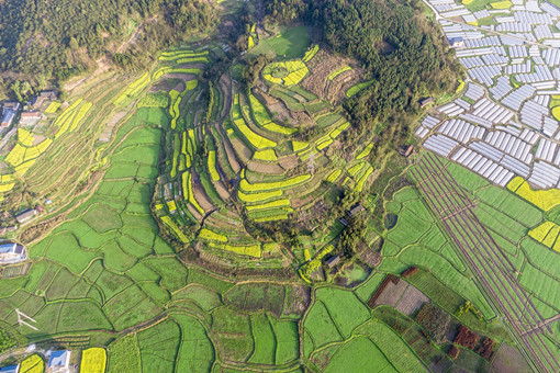 越城区农村产权交易中心设在哪里-摄图网