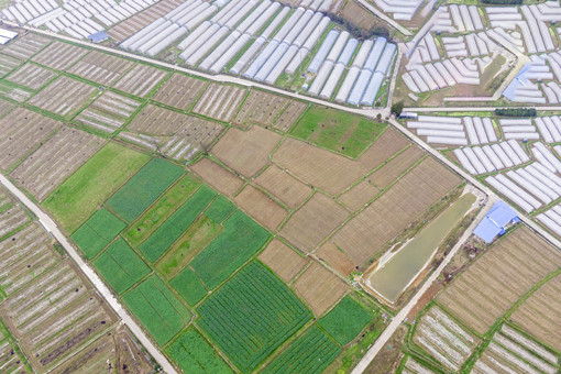 越城区农村产权交易程序-摄图网