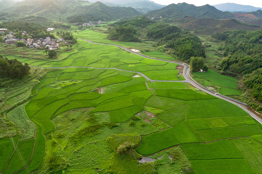 宝坻区农村产权交易范围包括哪些-摄图网