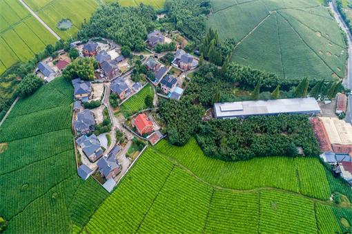 绵阳市农村产权流转交易程序-摄图网