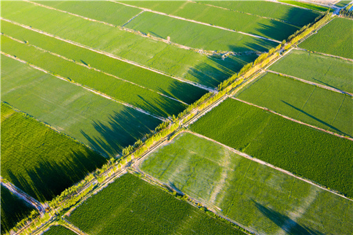 安徽省高标准农田建设优质项目评选办法-摄图网