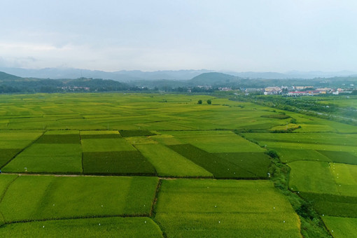 陕西省2022年耕地地力保护补贴标准-摄图网