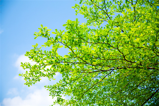立夏不代表真正入夏-摄图网