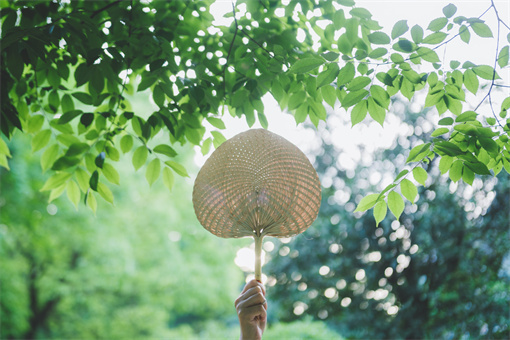 立夏农事需要注意什么-摄图网